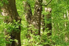 20210521_164914-min-scaled
