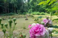 20210628_100752-min