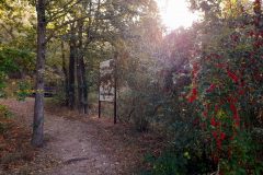 20211007_093241-scaled