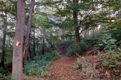 20211007_093402-scaled