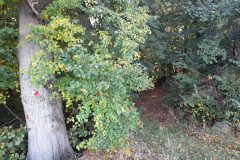20211007_124215-scaled